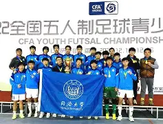 C7-关于南特英勇斗志，战胜对手取得重大胜利的信息
