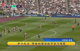 C7娱乐下载官网-奥萨苏纳客场挑战瓦伦西亚，实力对比的简单介绍